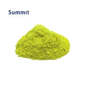 High Quality Sophora Japonica Extract 95% Quercetin Powder Sophora Japonica Extract Powder