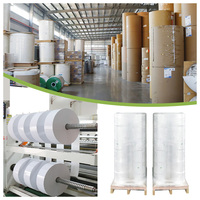 Papel de Transferencia Térmica Mate de 70g, Adhesivo Termofusible Permanente, Material de Rollo Jumbo de Glassine Amarillo de 60g