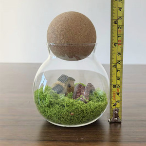 Terrarium en verre écologique 10*13cm avec couvercle en liège et boule en bois pour <span class=keywords><strong>jardin</strong></span> de bureau, plantes en mousse, <span class=keywords><strong>mini</strong></span> paysage intérieur - Product Image 2