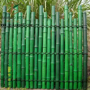 Clôture en <span class=keywords><strong>bambou</strong></span> de haute qualité pour l'intimité extérieure, jardin végétal naturel de Village, bon marché - Product Image 1