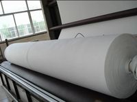 Géotextile en polyester renforcé pour le traitement des fondations des sols molles
