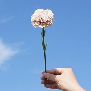 ผ้าไหมประดิษฐ์ทำมือลายหมึกสาขาเดียวขนาดเล็ก SN-AF149ดอกไม้ประดิษฐ์ที่เป็นมิตรต่อสิ่งแวดล้อมบ้านโรงแรมมอลล์ตกแต่งงานแต่งงาน - Product Image 4