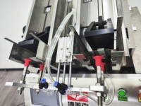 Máquina de llenado de mascarillas faciales completamente automática Máquina de envasado de llenado y sellado de líquidos de doble cabezal esencial