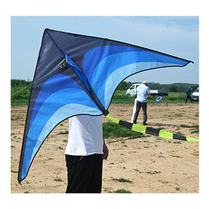 Vente flash : cerfs-volants en polyester Delta fabriqués en usine avec cadre en fibre de verre, cerfs-volants à prix économique directement de l'usine de cerfs-volants - Product Image 1