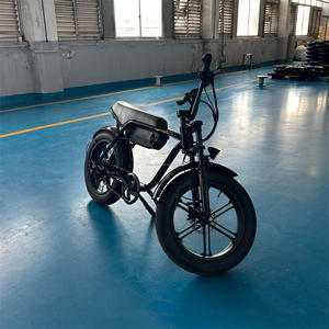 Vélo électrique tout-terrain personnalisé avec pneus larges 20x4.0, batterie lithium 48V 15Ah, moteur sans balais, 7 vitesses, cadre en acier, pour adulte, modèle HMF20 - Product Image 2