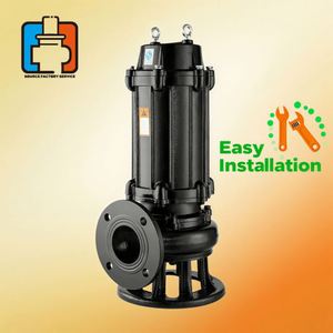 Bomba sumergible para aguas residuales de montaje en seco con interruptor de flotador - Product Image 5