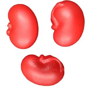 Factory <b>Sale</b> Novelty PU Simulation of Human Organs Brain Lung Kidney Liver Promotional Polyurethane Foam Relief Pressure Balls - Product Image 6