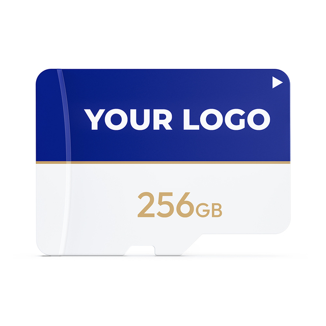 Mini TF SD Card 32GB 64GB 128GB 256GB 512GB Class10 U3 V30 A1 Speed Memory Card for Drone Camera Security DVR CCTV Cam GPS