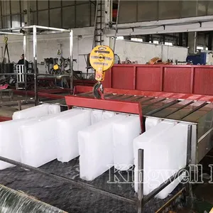 Vietnam Hot Selling Ice Blok Maken Machine Met Lage Prijs