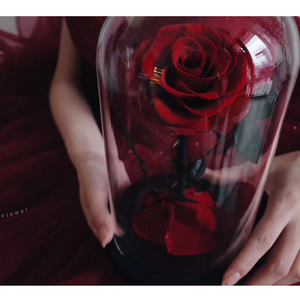 Natural China Factory The cute Hot Selling Long Stem Preserved Roses Rosa Bella y <span class=keywords><strong>La</strong></span> <span class=keywords><strong>Bestia</strong></span> - Product Image 5