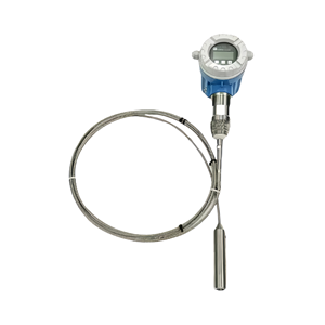 Sensor de Nivel por Radar de Onda Guiada E+H para Instrumentos de Prueba para una Medición Precisa - Product Image 2