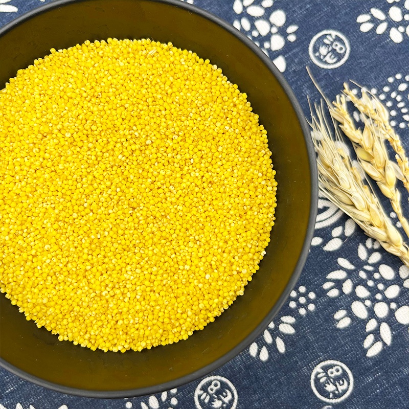 High Quality Yellow Millets Food Grade Grown in Excellent Environment Direct from China