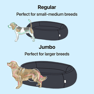 Modernes luxuriöses ovales Hunde bett aus ortho pä dischem Schaum mit wasch barer, widerstands fähiger Abdeckung Hersteller Direkt verkauf Solid Pattern <span class=keywords><strong>Cartoon</strong></span> Style - Product Image 2