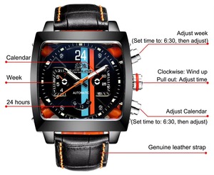 Drioshipping Top Brand Luxury Men Vintage Genuine Leather Strap Square PAULAREIS <b>Automatic</b> Mechanical Watch - Product Image 2