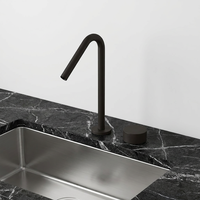 Robinet Mitigeur Monocommande Moderne en Acier Inoxydable à Double Trou pour Cuisine et Salle de Bain, à Poser sur Plan, avec Cartouche Céramique ZY-B736B