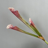 B-474 Nouvelle Tendance : Plantes Artificielles Evergreen Monkey Cups, Toucher Réel, Latex, Verdure Décorative pour Usage Intérieur