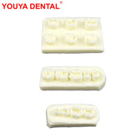 YOUYA DENTAL MX-102 Modelo Anatómico de Resina para Prácticas de Relleno Dental e Implantes, Precio de Fábrica, para Enseñanza y Exámenes en Consultorios Dentales