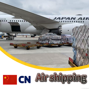 Services d'agent de dropshipping et de fulfillment, transitaire aérien à prix compétitif, agent d'expédition DDP, logistique vers les États-Unis, l'Allemagne, la France, la Pologne, les États-Unis - Product Image 1
