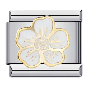 Module italien acier <span class=keywords><strong>bricolage</strong></span> élastique épissage sangle chaîne fleur monde Style Bracelet <span class=keywords><strong>pour</strong></span> <span class=keywords><strong>femmes</strong></span> à la mode huile bracelets élégant - Product Image 1