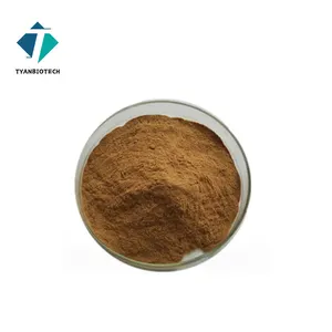 Extrait de fenouil du fabricant 99% Foeniculum Vulgare Mill Extract Natural Fenouil Powder