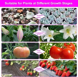 Plant Indoor Seeding Flower Full Spectrum Customized Service Led Grow Light For Greenhouses Flowers