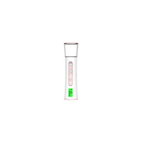 Nano-technologie domestique, mini vaporisateur ionique rechargeable portable, vaporisateur facial fin à nano-particules, LED