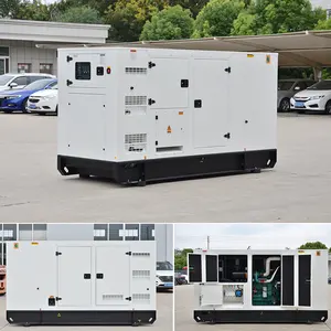 Door Cummins 250 Kva Geluiddichte Genset 200kw Generator 1000l Basis Brandstoftank 250kva Generator Set Roestvrij Staal Accessoires