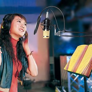 Micrófono de Condensador BM800 para Grabación en Estudio, con Soporte Antivibratorio, Brazo Articulado y Filtro, en Oferta - Product Image 6