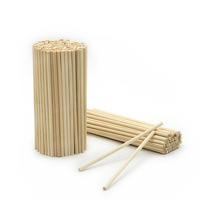 Bâtonnets de coton-tige en bambou personnalisés de 6cm 10cm 15cm 20cm pour coton-tige