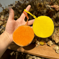 Porte-clés en peluche personnalisables avec portefeuille et porte-monnaie, mini porte-clés, étui portable pour écouteurs pour étudiants, idéal pour les cadeaux du Nouvel An