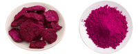 100% Water Oplosbaar Rood Dragon Fruit Extract Poeder Natuurlijke Poeder Pitaya Roze Poeder