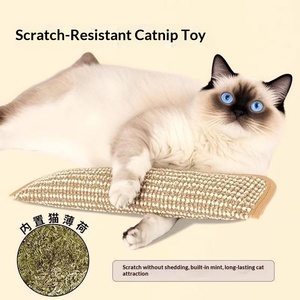 Coussin à chat à la catnip, jouet à mâcher auto-entretenant, résistant à la mastication, nettoyant pour les dents, friandise pour chat, anti-ennui, griffoir, fournitures - Product Image 4
