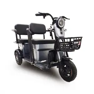 Factory Direct Sale Pedal Trike Assist Manpower Manned Electric Tricyclemini Jx183 Mali Fret Malaysia Make Cargo Tricycle For