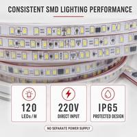 Ruban LED linéaire SMD sans driver 220V 120 LED/m IP65 étanche en silicone pour décoration intérieure et extérieure - Vente en gros usine