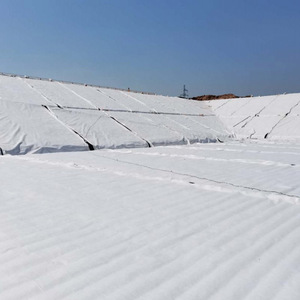 Tunnel ferroviario HDPE <span class=keywords><strong>3D</strong></span> griglia di drenaggio composito discarica di filtrazione fondo stradale acqua trattenimento rete di drenaggio composito - Product Image 4