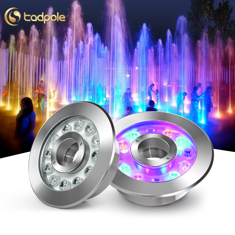 12V Ip68 Water Proof Colorful Remote