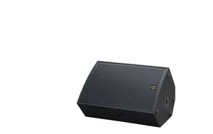 Professional Speaker Audio System Dual 12 Inch Inverting Passive <strong>Indoor</strong> Outdoor <strong>Line</strong> <strong>Array</strong> Speaker China Origin - Product Image 6