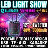 Valise portable d'extérieur, connectable en Bluetooth et équipée d'un microphone sans fil W12