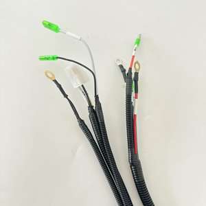 Anpassbarer Kabelbaum für verschiedene elektrische Dreirads teuerung systeme - Product Image 2