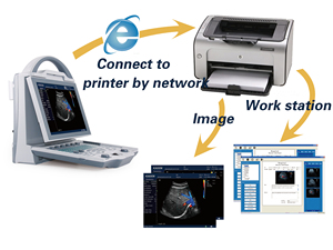 Échographe vétérinaire Kaixin DCU12 à prix avantageux et échographe vétérinaire numérique portable avec Doppler couleur et qualité supérieure - Product Image 4