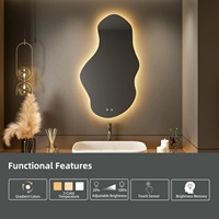 Double CCT 3000-6500 K Personnalisable Logo Personnalisé Led Hôtel Led Rond Anti Brouillard Avec Lumière Noir Salle de Bain Vanité Miroir Cabinet