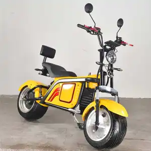 Electric Scooter Electric Mini Motorcycle Electric Bike Electric Mobility 3-Wheel Double Removable Battery Door To Door Service