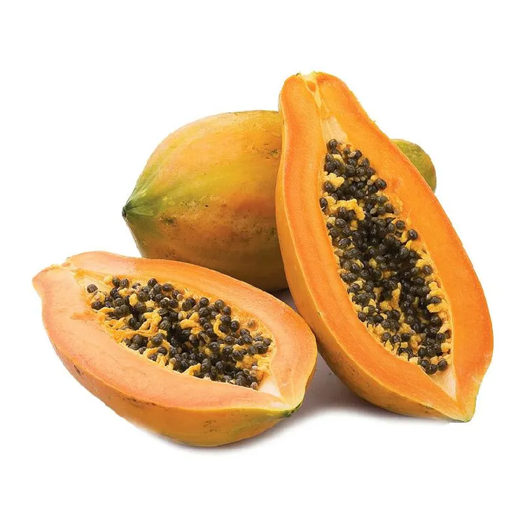 Polvere di estratto di Papaya enzima naturale sfuso all'ingrosso di Papaya