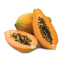 Papaya — poudre d'extrait de papaya naturelle, vente en gros, économique