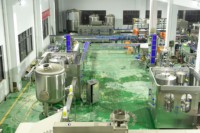 Machine d'Embottellage Entièrement Automatique 3 en 1 pour Petites Entreprises, Ligne de Production et Remplissage d'Eau Pure et Minérale en Bouteilles Plastique