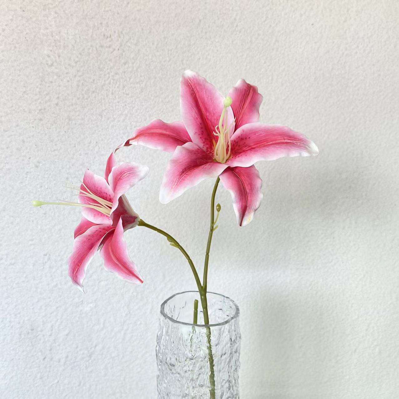 [3] ดอกลิลลี่สีชมพูเข้ม หัวคู่ ขนาดใหญ่