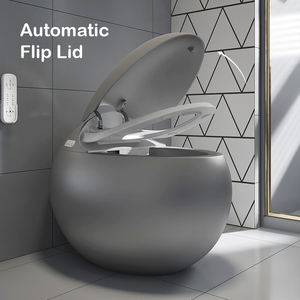 Luxe <span class=keywords><strong>argent</strong></span> gris salle <span class=keywords><strong>de</strong></span> bain sanitaire une pièce intelligent Wc cuvette <span class=keywords><strong>de</strong></span> <span class=keywords><strong>toilette</strong></span> forme <span class=keywords><strong>d</strong></span>'oeuf automatique ronde <span class=keywords><strong>toilette</strong></span> intelligente - Product Image 1