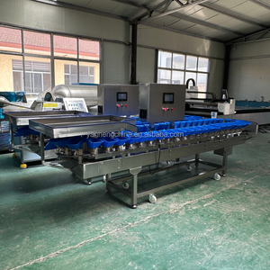 New Arrival Vegetables Sorting Grader Onion Carrot Classifier Grader Olive Citrus Grading Machine For Fruit Vegetables Factory - Product Image 6