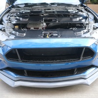 Plaque de refroidissement en Fiber de carbone, couvercle de radiateur de réservoir d'eau pour Ford Mustang Dark Horse S650 2024