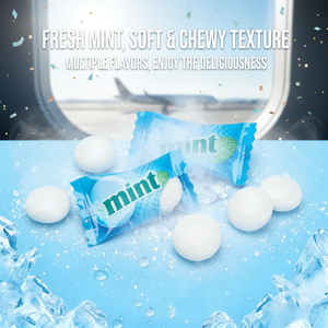 Dragées de <span class=keywords><strong>chewing</strong></span>-<span class=keywords><strong>gum</strong></span> sans sucre au xylitol, saveur menthe, pour une haleine fraîche - Product Image 3